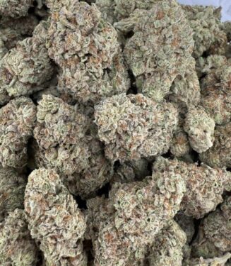 5879647204610345957-510×680