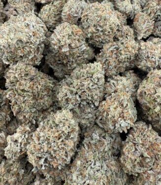 5880012057787173837-510×680