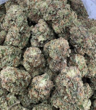 5880012057787173883-510×680