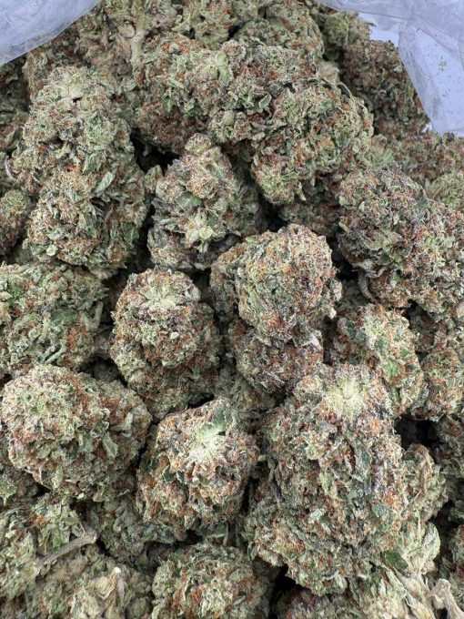 Buy Violet Fog Strain | Balance Effects & Sweet Grape Flavor - Image 2