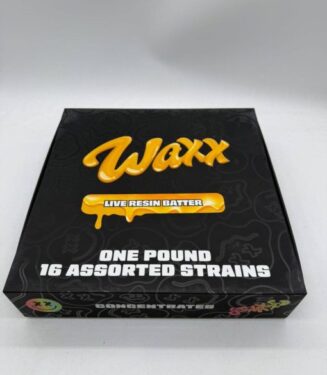 5904524020260998165-510×680