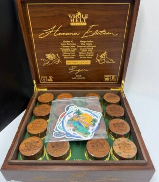 5906997363077745813-510×680