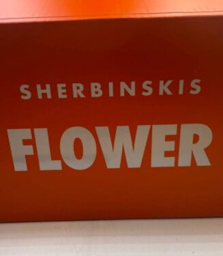 5913392466302274430-510×680