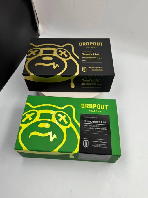 Buy Dropout Academy Disposable | 3G Power, Smooth Effects - Image 2