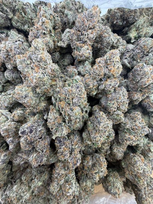 Buy C Runtz Strain | Flavor, Effects & What Sets It Apart - Image 4