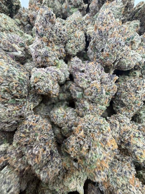 Buy White Cherry Gelato – Premium, Powerful Hybrid Effects - Image 4