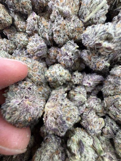 Buy Quality Batch White Truffles Strain – Premium Relaxation - Image 4