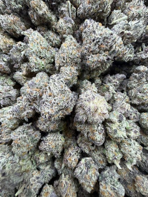 Buy Quality Batch White Truffles Strain – Premium Relaxation - Image 3