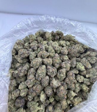 5929347380748684569-510×680