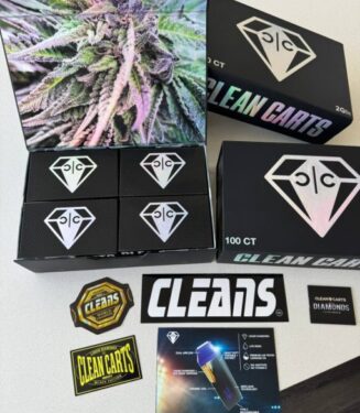 5996963961418928086-510×680