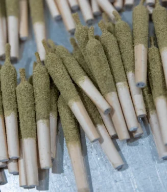 PRE-ROLLS