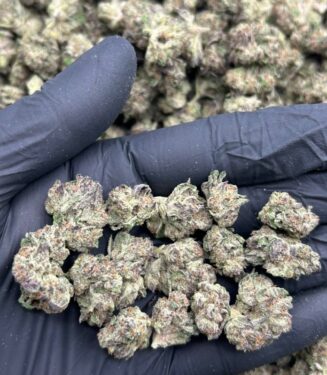 Grape Gasoline Flower THCa