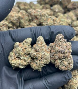 Gassy Grapez weed strain