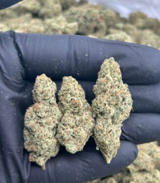 Crush Poppers lume cannabis