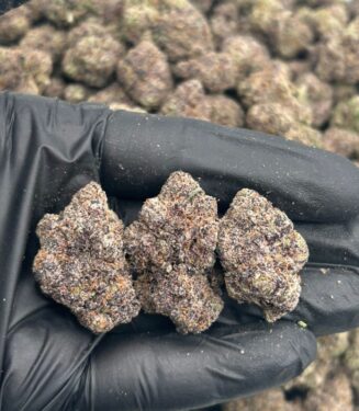 WARHEAD Cannabis Strain