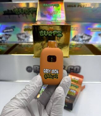 Buy Burtz dispo​ 2G Disposable | Premium Lasting Vape Device