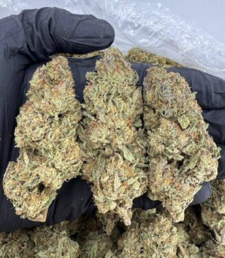 Buy mimosa x orange punch strain – Premium Hybrid Effects.