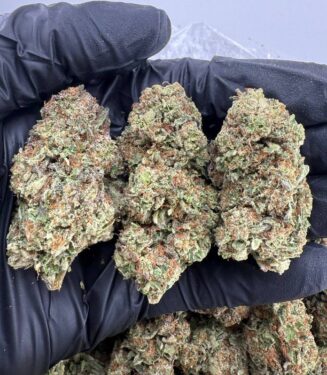 Buy Violet Fog Strain | Balance Effects & Sweet Grape Flavor