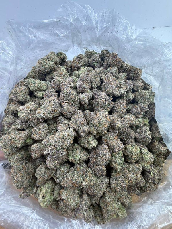 Buy White Cherry Gelato – Premium, Powerful Hybrid Effects