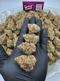 #262B Blue Raspberry Warheads Extreme strain