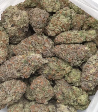 Space Cake Strain for Sale – High-THC Hybrid Cannabis